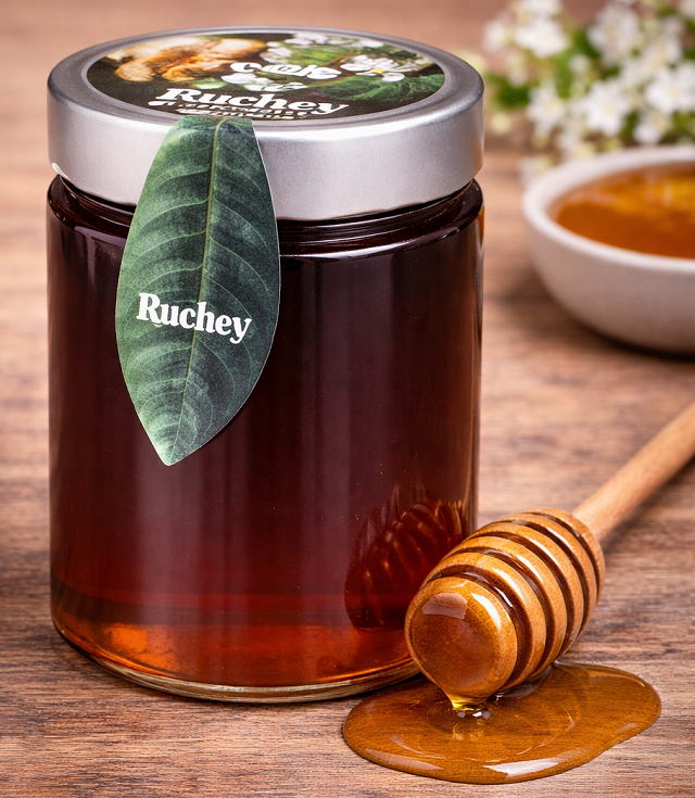 Mel d'Alvocat Gourmet 475g